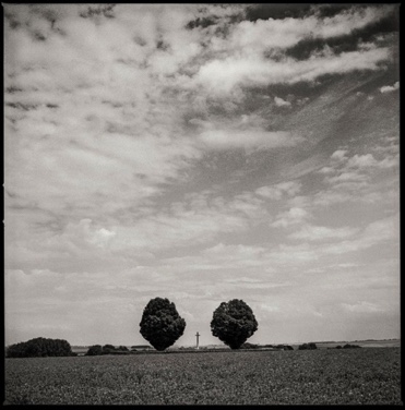 HAWTHORN RIDGE